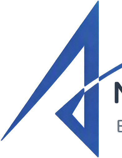 NetSecure-IT Services